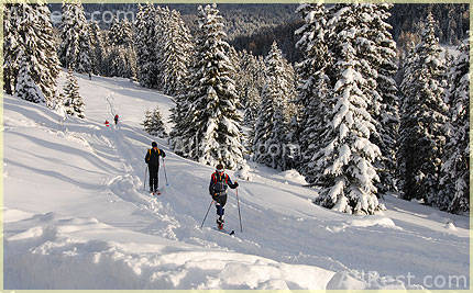 Hotel Tyrol 61